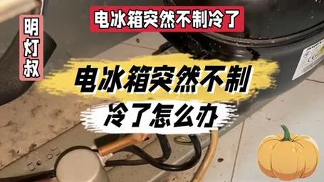 电冰箱恒温不好使了什么故障