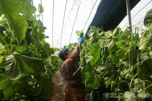 吴桥县有线电视故障报修电话