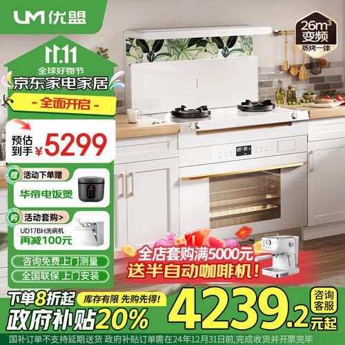 优盟集成灶故障代码a20