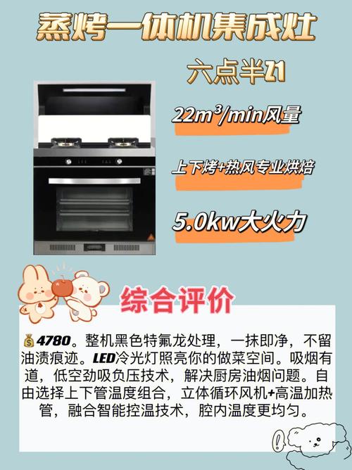 帅丰集成灶蒸烤一体机e10故障