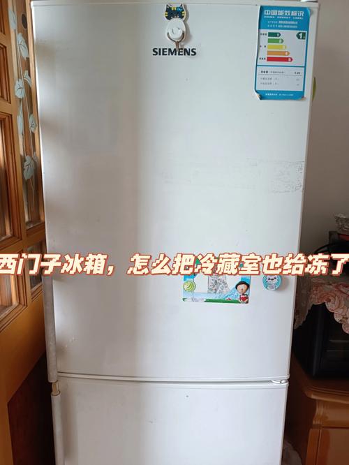 西门子冰箱故障码E4