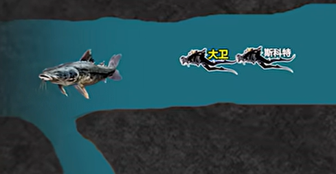 为追巨型鲶鱼被困洞穴深处，救援队认定他已经溺亡放弃救援